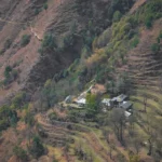 Top 10 Must-Visit Places in Palampur for a Perfect Getaway