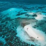 Queensland_Featured_Image