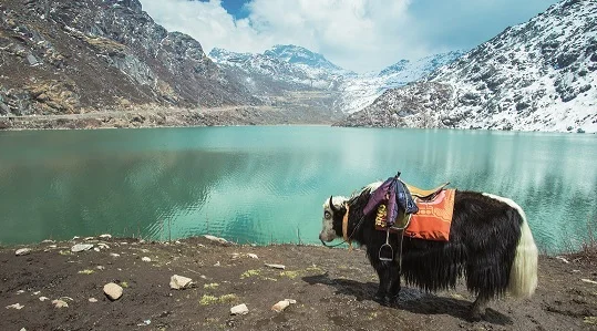 Tsangmo Lake in Sikkim