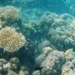 Go For Adrenaline Rush, Go Andamans!