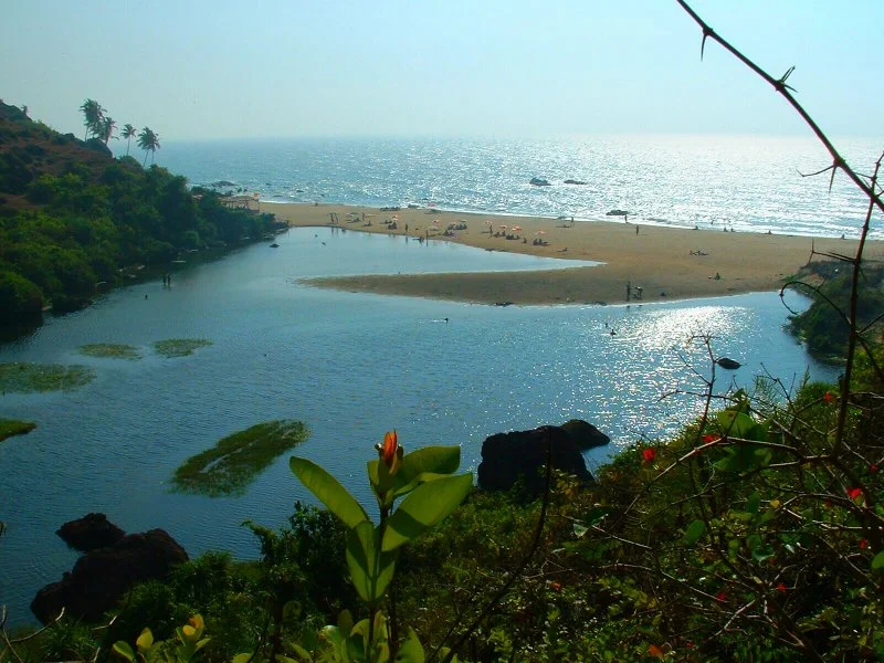 Goa