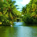 Top Resorts To Visit In Cherai