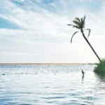 Kerala – Top Places You Need to Visit!