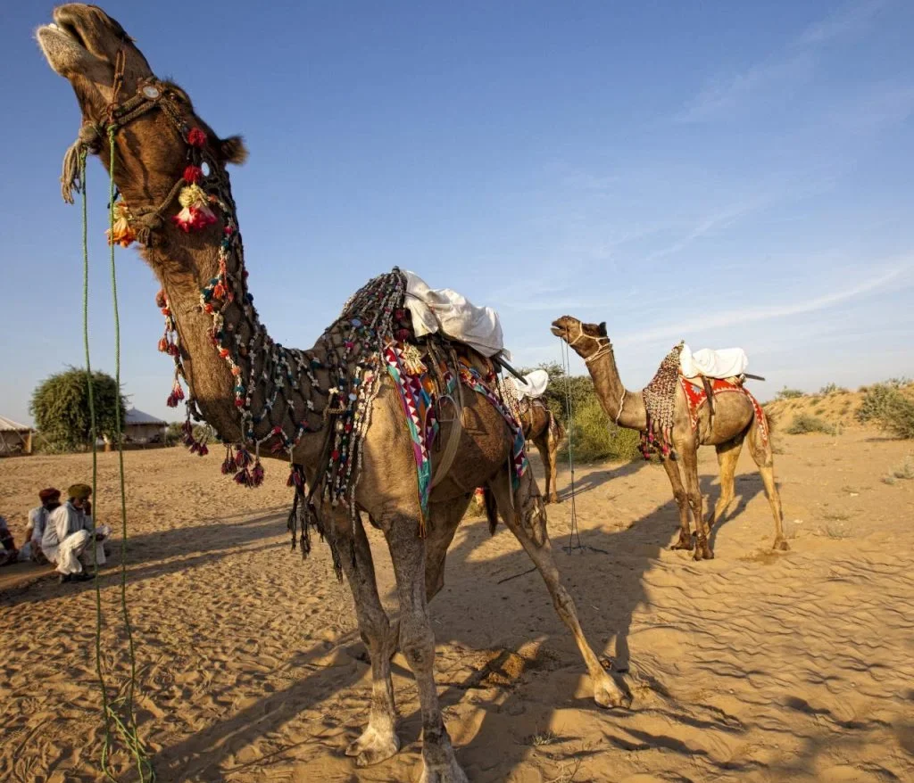 Relive the royal era at these palaces of Rajasthan