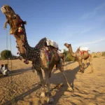 Relive the royal era at these palaces of Rajasthan