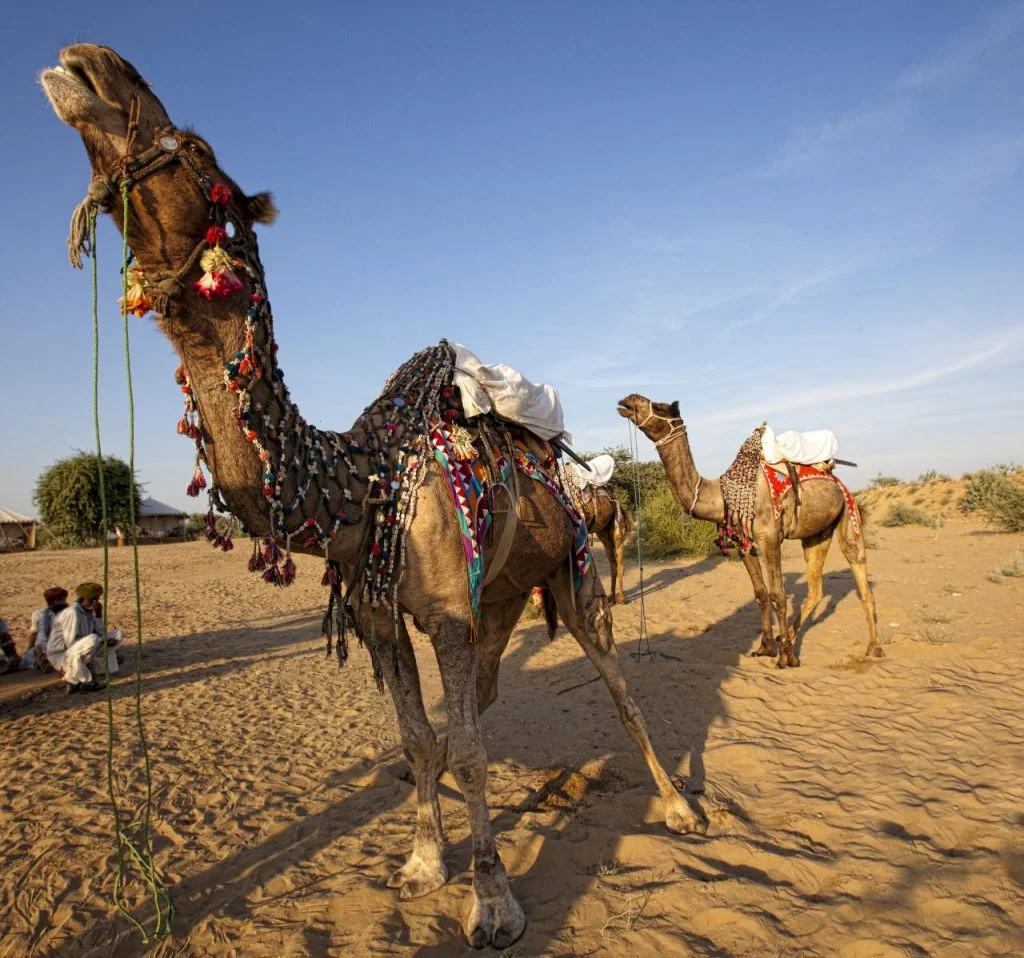 Relive the royal era at these palaces of Rajasthan