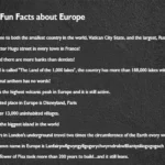 International Holidays