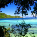 Seychelles, The Verdure Amidst Turquoise Waters