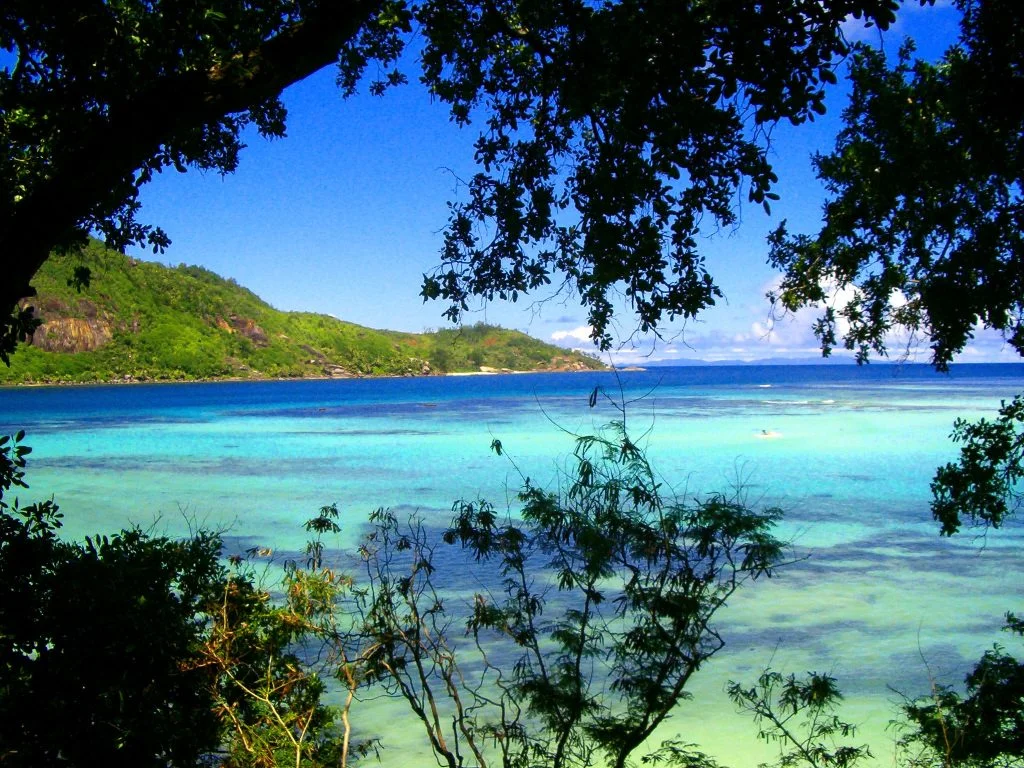 Seychelles, The Verdure Amidst Turquoise Waters