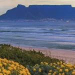 Art Galleries South-Africa