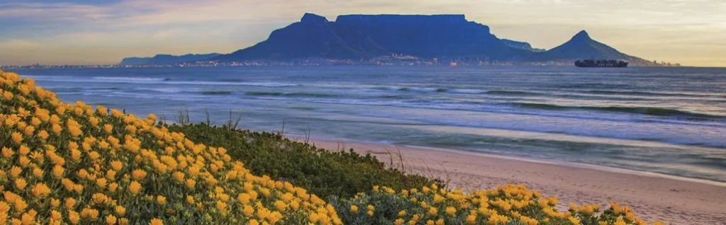 Art Galleries South-Africa