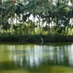 Kerala, the window for your adventurous soul