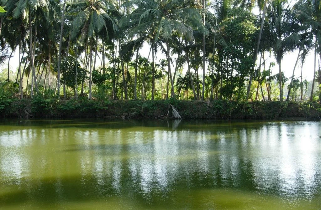 Kerala, the window for your adventurous soul