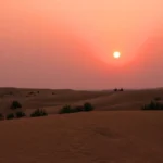 Get Off the Beaten Track with Jeep Safaris