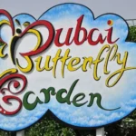 Butterfly Garden in Dubai