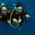 A Quick and Handy Guide to Andaman Tourism