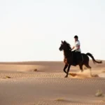 Horseback Riding Tours in Dubai