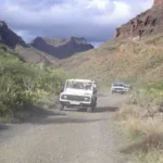 Get off the beaten track with jeep safaris