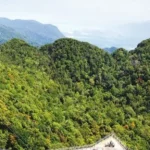 animal lover at FARM IN THE CITY in SERI KEMBANGAN