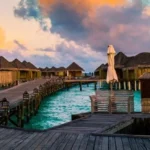 The Maldivian Night Life and Blue Sands