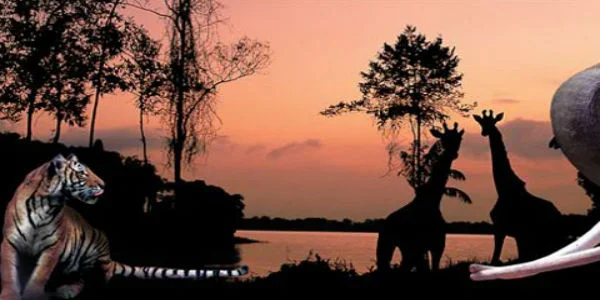 Singapore Night Safari