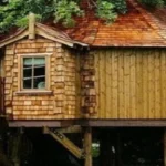 Re-connect with nature in tree houses