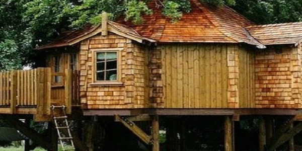 Re-connect with nature in tree houses