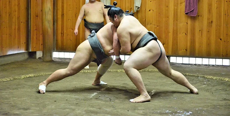 Sumo wrestling