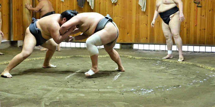 Sumo wrestling