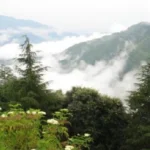 Chail, Himachal Pradesh