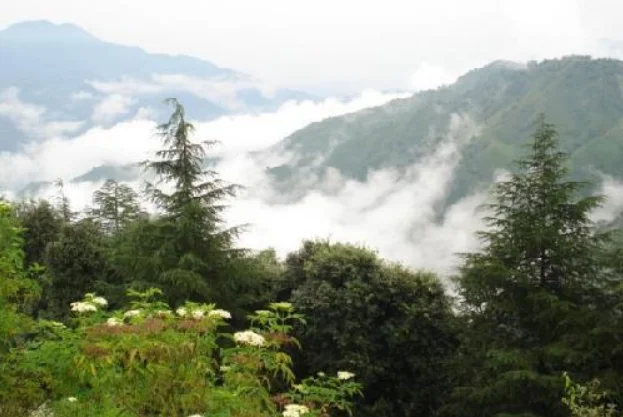 Chail, Himachal Pradesh