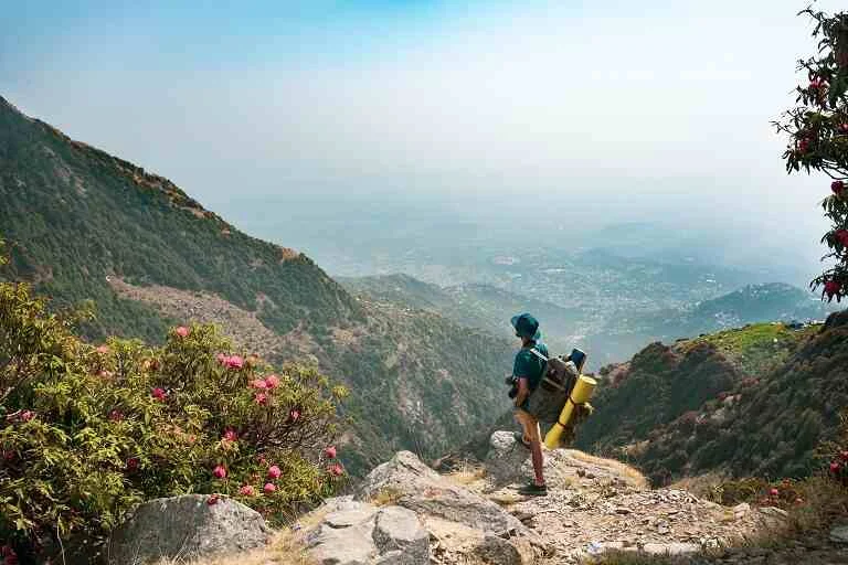 Dharamkot: Artistic Vibes and Scenic Views
