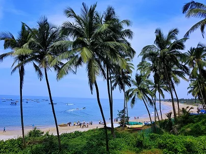 Party and Peace at Goa
