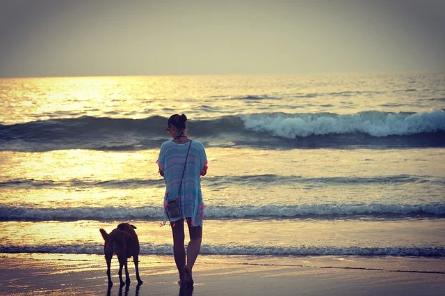 Shimmering Beaches in Goa