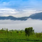 Must See Tourist Places in Karnataka