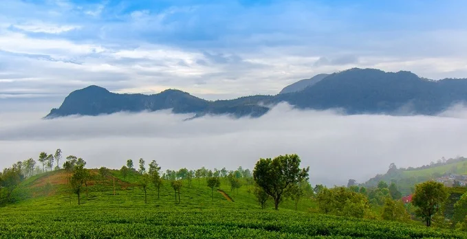 Must See Tourist Places in Karnataka