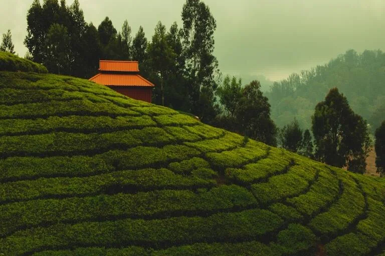 Kodaikanal