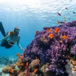 Exploring the Best Water Sports in the Pristine Waters of Lakshadweep