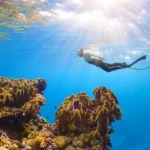 Scuba Diving in Thailand