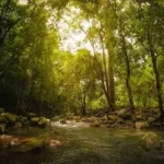 Simlipal National Park