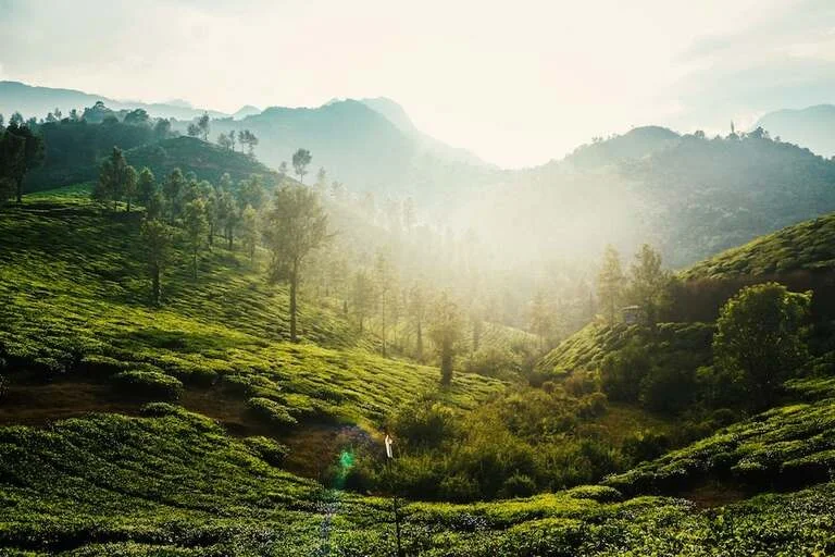 Wayanad hill station
