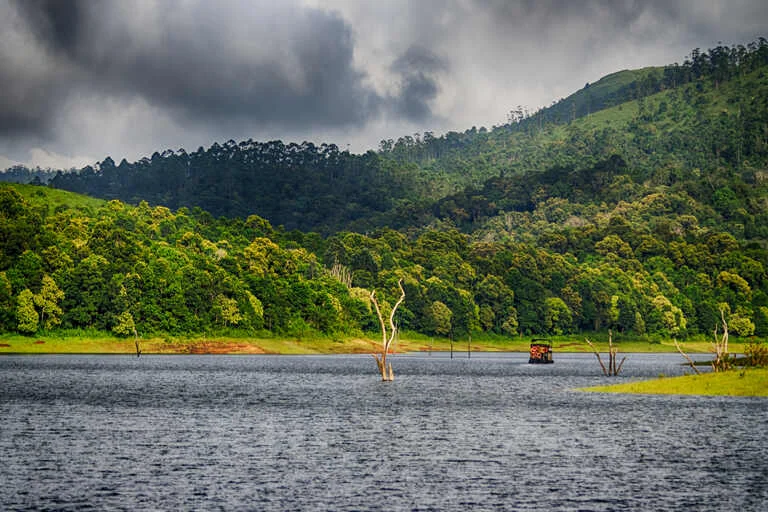 Wildlife Adventure in Thekkady