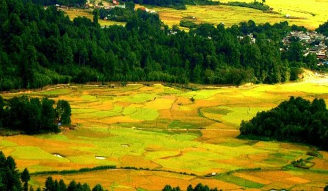 Ziro, Arunachal Pradesh