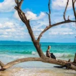 Do Not Miss these Natural Mangrove Walkways in Andaman