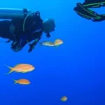 Andaman Water Sports Bucket List