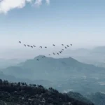Visit In Ooty