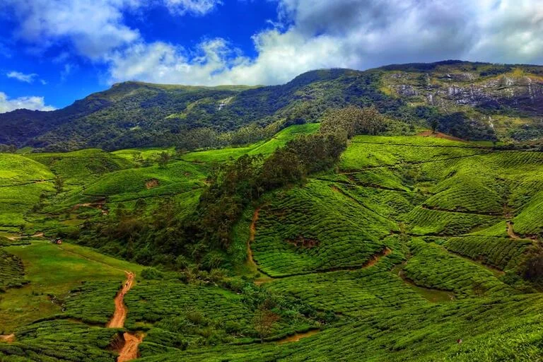 Best Time to Visit Kerala