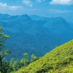 Coorg, the canopy of green in the misty mountains