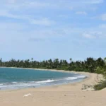 Best South Indian Beaches for a Peaceful Getaway