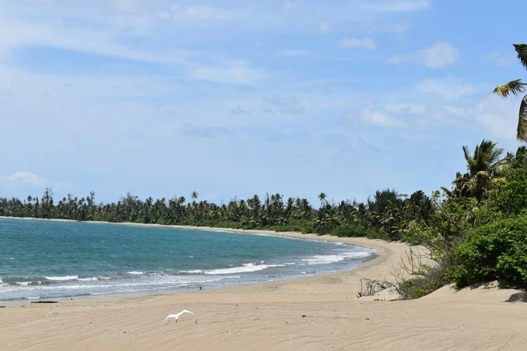 Best South Indian Beaches for a Peaceful Getaway